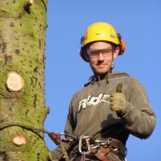 OLYMPUS DIGITAL CAMERA Tree felling on Normanton Lane