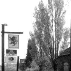 Daybell's Barn and poplar trees in adjoining field c. 1980