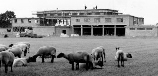 WR18_High_School_July58_sheep_closer The building of Belvoir High School