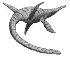 An artist's impression of a plesiosaur