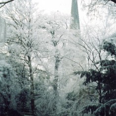 Spring, Summer, Autumn, Winter