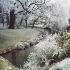Spring, Summer, Autumn, Winter