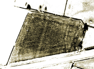 fig_5_crop2 Fig 5 Aerial Photograph of the field enhanced with Photoshop