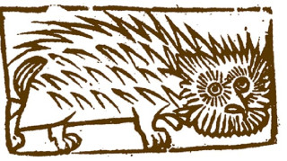 hedgepig2 Woodcut illustration of a hedgehog (hedgepig!) familiar from the chapbook