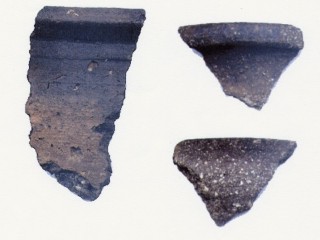 Fig.10 Shelly ware fragments.