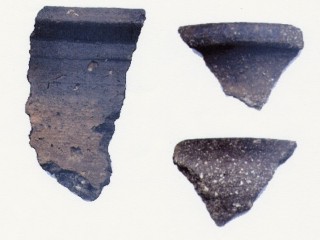 rpt_fig_10_resized Fig.10 Shelly ware fragments.