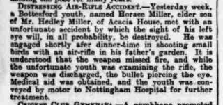 Horace Miller 1914 Article from the Grantham Journal, 8/8/1914: Horace Miller airgun pellet accident. | British Newspaper Archive