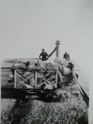 Harold Calcraft threshing near Indian Head Harold Calcraft threshing near Indian Head | Courtesy of Ms Susan Calcraft