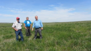 IMG_0528 Ken Sinclair, Bob White and Bill Pinfold indicate their near-certainty that they have located the homestead of Frank Raithby | David Middleton 2017