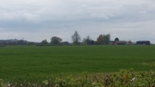 20170413_150819 Back in England, Breeder Hills Farm with Belvoir Castle in the background | Bill Pinfold