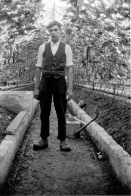 Frank Wilkinson, working in the cucumber house at The Vineries market gardens, Belvoir Rd, in 1928. | Contributed by Mrs Anne Hewitt, image held by Bottesford Local History Archive