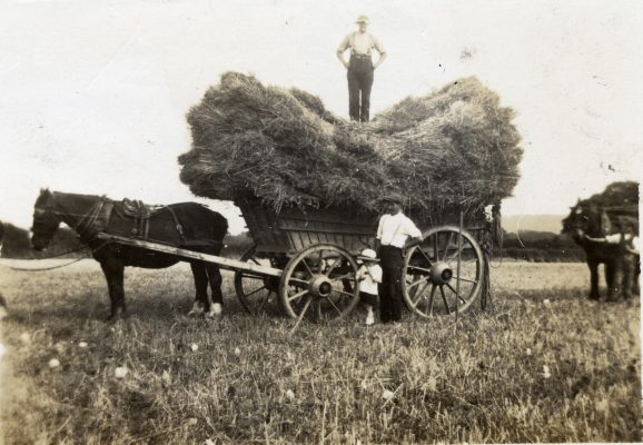 BOT189_002 DKI_1 01 On load