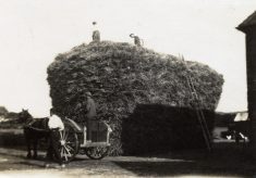 Haystack, at the barn, Barkestone