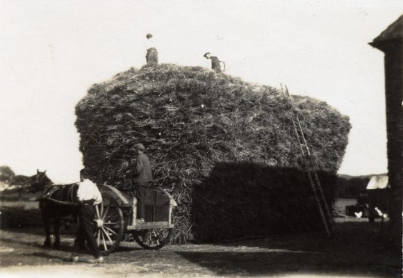 BOT189_003 DKI_1 02 Haystack, at the barn, Barkestone