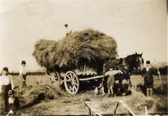 BOT189_012 DKI_1 13 Hay cart at Granby Lane, Plungar