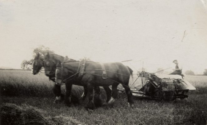 John Bonser Kirk (junior) on the binder