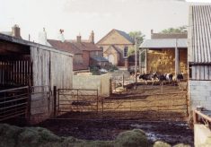 In the yard at Pasture Farm, Plungar