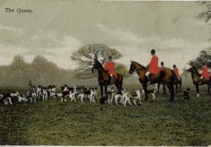 The Quorn Hunt, an old postcard