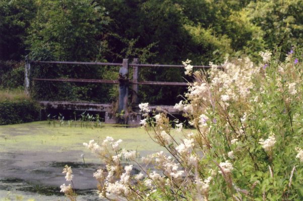 BOT196_008 MLA Canal Dammes cottage 07 The lock gate giving access to the old lock house 3