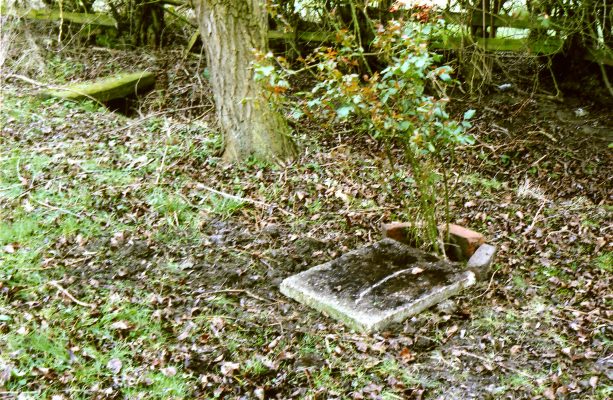 Believed to be grave where Ronald Damms were interred in 2004. | Margaret Langton