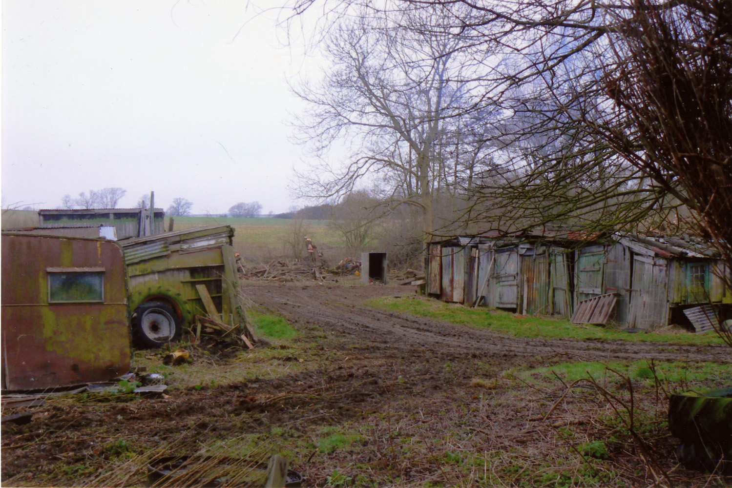 The sheds at the Lock House, after the ground clearance