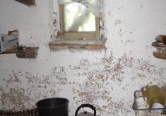 Interior of the cupboard under the stairs.