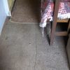 The lime-ash concrete bedroom floor