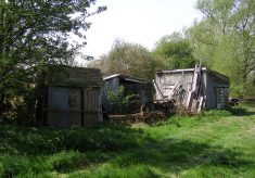 Some of the old sheds at the Lock House