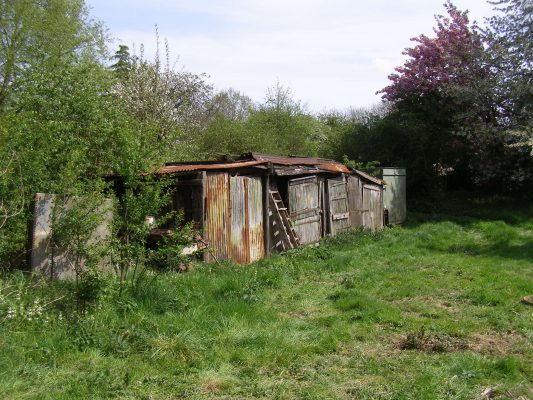 More of the sheds, a row nestling in the rough grass and undergrowth around the cottage, before the site was cleared. | Neil Fortey