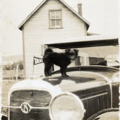 The family car and house, plus the pet dog standing on the bonnet. | Janet Dammes