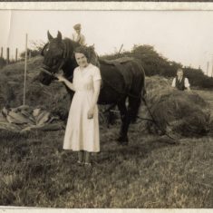 Harvest time at Bottesford | Janet Dammes