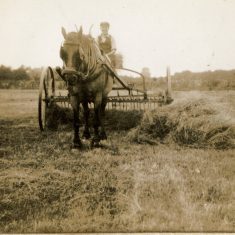 Harvest time at Bottesford | Janet Dammes