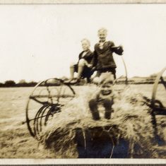 Harvest time at Bottesford | Janet Dammes