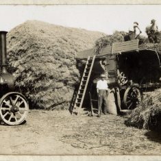 Harvest time at Bottesford | Janet Dammes