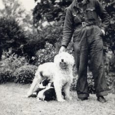 BOT177_067 Marston album3 06 'Frank Marston with Lassie and her litter of pups, circa 1960.' | Janet Dammes