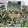 Bottesford Friendly Garden