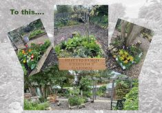 Bottesford Friendly Garden