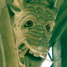 Some of the most striking and perhaps unexpected carvings are between the windows of the clerestory, high up near the roof. There is little light, so that these are difficult to see (and not so easy to photograph), yet they are expertly and extravagantly carved blocks of limestone. Muzzles glare down with tongues lolling. Eyes are blackened, in contrast to the otherwise bare stone, adding to their theatrically sinister appearance. This one has wrinkled or corrugated skin and bat-like ears. Someone has inserted a stick between his teeth. | Neil Fortey