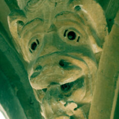 The other carving has smoother skin and pronounced nostrils. Its tongue is extraordinary, sticking out and curling, yet apparently all part of the single carved block of stone. On the crown of the head is a strange crest, reminiscent of a tiara. | Neil Fortey