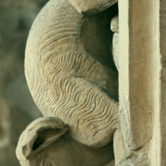 P1050482_04 This animal, on the north arcade of the nave, may be a wolf, a she-wolf or perhaps a hyena. All represent forms of evil. | Neil Fortey