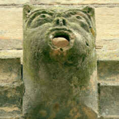 P1050509_05 One of the gargoyles on the tower, with mouths for water spouts: possibly a dog's face.