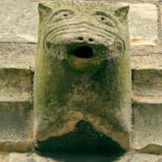 P1050512_04 One of the gargoyles on the tower, with mouths for water spouts: a cat-like face.