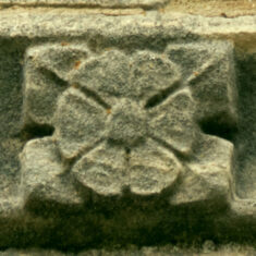 P1050520_06 One of the carvings of flowers (fleurons) seen on the frieze.