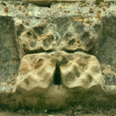 P1050524_06 One of the carvings of flowers (fleurons) seen on the frieze.