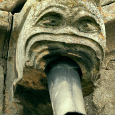 A gargoyle on the 14th Century porch. Rainwater stills drains through them, but nowadays channelled through more modern piping. | Neil Fortey